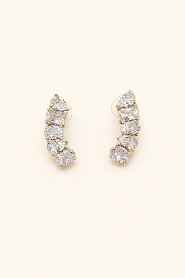 zalu earrings